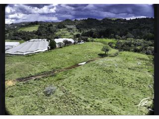 Foto 6 de LOTES EN VENTA EN GUARNE, ANTIOQUIA