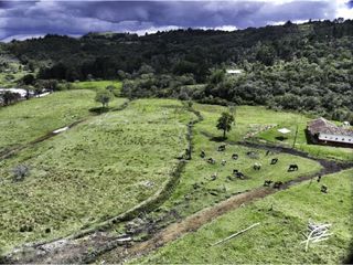 Foto 2 de LOTES EN VENTA EN GUARNE, ANTIOQUIA