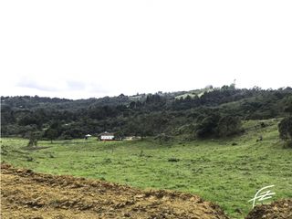 Foto 10 de LOTES EN VENTA EN GUARNE, ANTIOQUIA