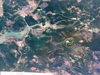 Foto 2 de VENTA DE 16 HECTAREAS EN SAN IGNACIO MISIONES