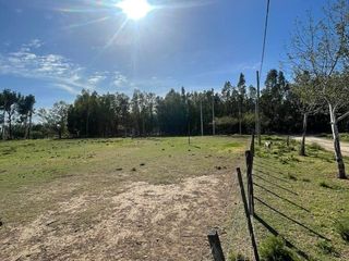 Foto 5 de Azara 5800 4 Lotes