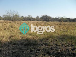 Foto 2 de CAMPO EN VENTA ZONA EMBARCACION, SALTA