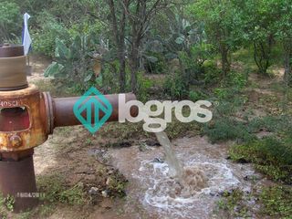 Foto 11 de CAMPO EN VENTA ZONA EMBARCACION, SALTA