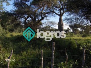 Foto 5 de CAMPO EN VENTA ZONA EMBARCACION, SALTA