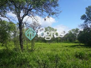 Foto 10 de CAMPO EN VENTA ZONA EMBARCACION, SALTA