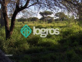 Foto 8 de CAMPO EN VENTA ZONA EMBARCACION, SALTA