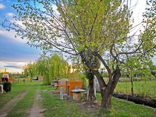Foto 38 de Excelente Propiedad , 2 Casas en venta , Parque y Pileta en San Rafael