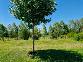Foto 3 de Venta  Oportunidad. Lote El Naudir. Aguas Privadas.