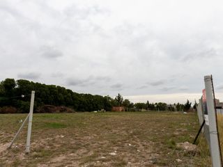 Foto 11 de Terreno / Lote en venta de 1200m2 ubicado en Paihuén