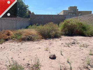 Foto 1 de Terreno / Lote en venta de 263m2 ubicado en El Plumerillo