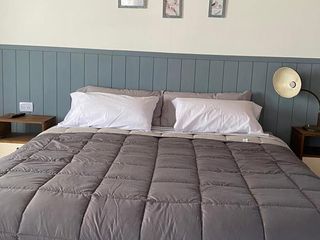 Foto 7 de Casa - Villa Lago Meliquina