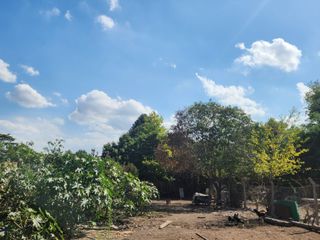 Foto 5 de VENTA LOTE TERRENO ZONA COMERCIAL 635 MTS  MORENO