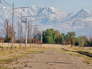 Foto 9 de VENTA DE LOTES EN MAIPU