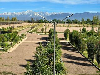 Foto 2 de VENTA DE LOTES EN MAIPU