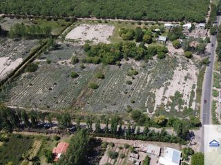 Foto 4 de Terreno / Lote en venta de 19489m2 ubicado en Cruz de Piedra