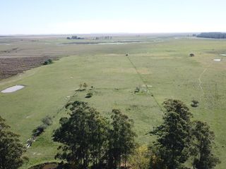 Foto 13 de Campo Ganadero En Alquiler