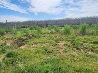 Foto 4 de Lote en venta Sol Andino III