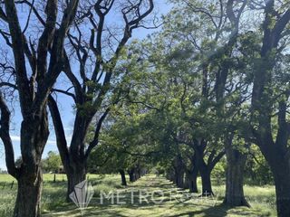 Foto 11 de Terreno en  Estancia Carabassa