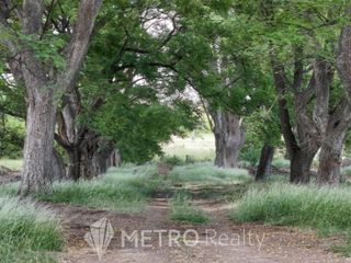 Foto 7 de Terreno en  Estancia Carabassa
