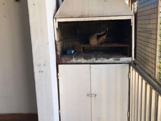 Foto 17 de propiedad en Alquiler