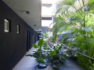 Foto 49 de Espectacular Triplex con terraza propia en el DOHO