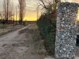 Foto 2 de Finca con casa, galpón, animales y frutales-
