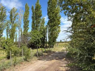 Foto 16 de Finca con casa, galpón, animales y frutales-