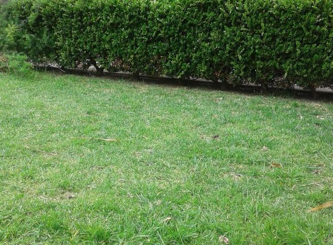 place photo 23