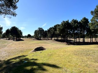 Foto 45 de Casa en VENTA en VILLAROBLES, a 15 km de Pinamar !