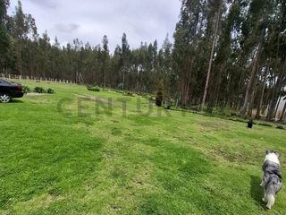 Foto 11 de En Venta Terrenos de 5000m2 en la Entrada a Lasso entre Latacunga y Machachi