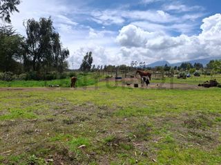 Foto 12 de En Venta Terrenos de 5000m2 en la Entrada a Lasso entre Latacunga y Machachi