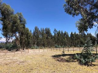 Foto 5 de En Venta Terrenos de 5000m2 en la Entrada a Lasso entre Latacunga y Machachi