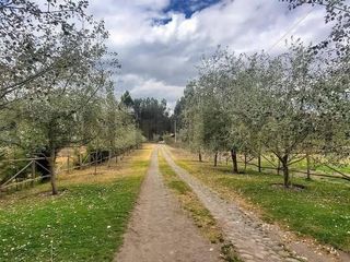 Foto 2 de En Venta Terrenos de 5000m2 en la Entrada a Lasso entre Latacunga y Machachi
