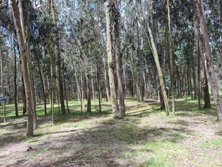 Foto 19 de En Venta Terrenos de 5000m2 en la Entrada a Lasso entre Latacunga y Machachi