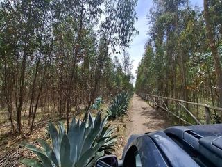 Foto 9 de En Venta Terrenos de 5000m2 en la Entrada a Lasso entre Latacunga y Machachi