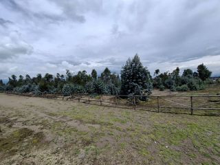 Foto 16 de En Venta Terrenos de 5000m2 en la Entrada a Lasso entre Latacunga y Machachi