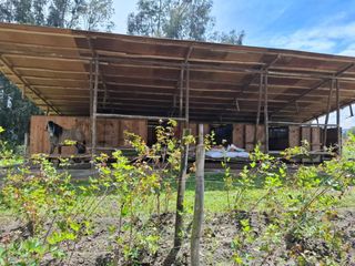 Foto 8 de En Venta Terrenos de 5000m2 en la Entrada a Lasso entre Latacunga y Machachi