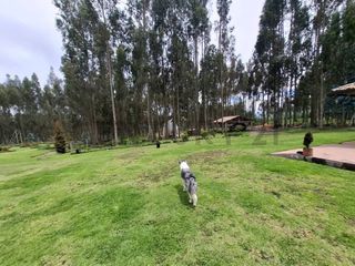 Foto 21 de Vendo Casa - Terreno de 20.000m en la Entrada a Lasso entre Latacunga y Machachi