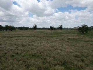 Foto 8 de CAMPO EN VENTA EN EL PELIGRO AGRICOLA GANADERO 6HA