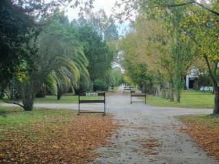 Foto 18 de VENTA, CASA A LAGUNA, POSADA DE LOS LAGOS  al 100