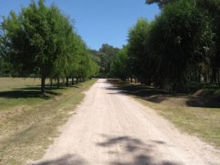 Foto 10 de Terreno en venta - 2.490 mts2 - Campos de Roca II