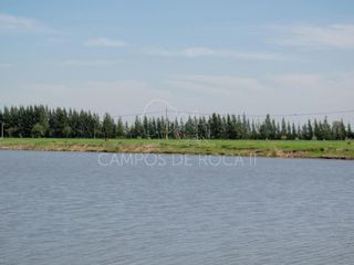Foto 15 de Terreno en venta - 2.490 mts2 - Campos de Roca II