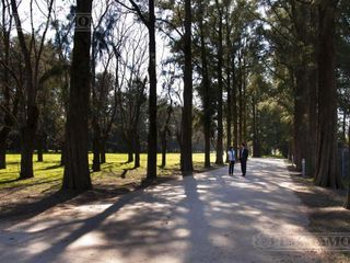 Foto 8 de Depósito en Alquiler en  Pilar