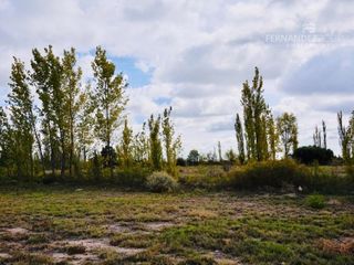 Foto 18 de SE VENDE Finca Campo 8,4 Ha Las Catitas Santa Rosa sobre Acceso Este
