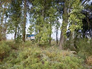 Foto 11 de SE VENDE Finca Campo 8,4 Ha Las Catitas Santa Rosa sobre Acceso Este