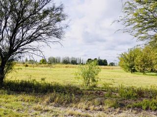 Foto 21 de SE VENDE Finca Campo 8,4 Ha Las Catitas Santa Rosa sobre Acceso Este