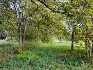 Foto 12 de SE VENDE Finca Campo 8,4 Ha Las Catitas Santa Rosa sobre Acceso Este