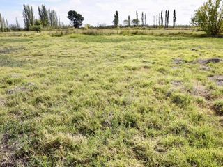 Foto 9 de SE VENDE Finca Campo 8,4 Ha Las Catitas Santa Rosa sobre Acceso Este