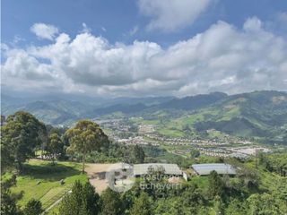 Foto 4 de Apartamento en arriendo, barrio Palermo, Manizales