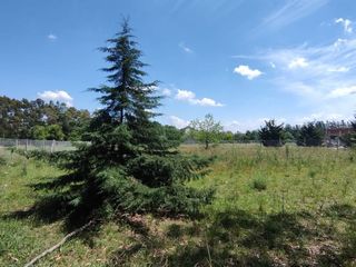 Foto 1 de Oportunidad lote en venta Arturo Seguí, La Plata